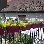 Calwer Hoefle