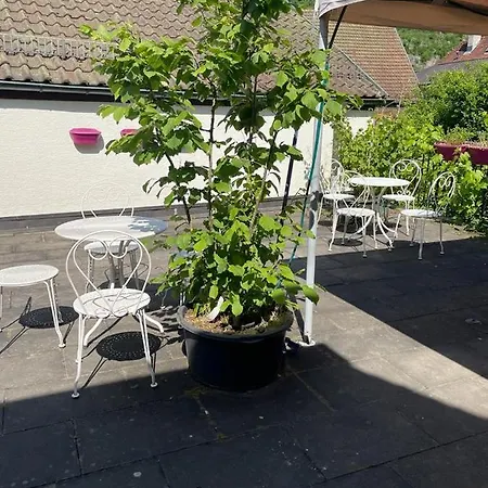 Calwer Hoefle *