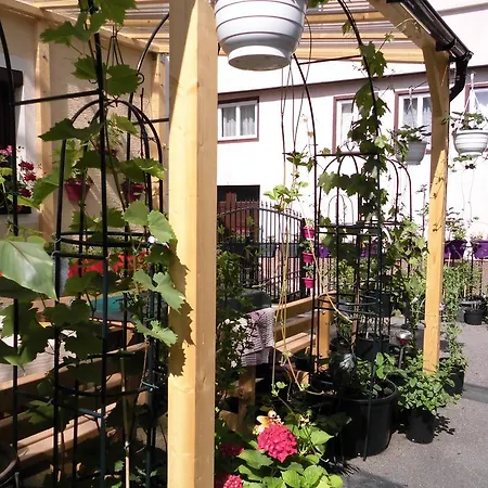 Calwer Hoefle * Calw